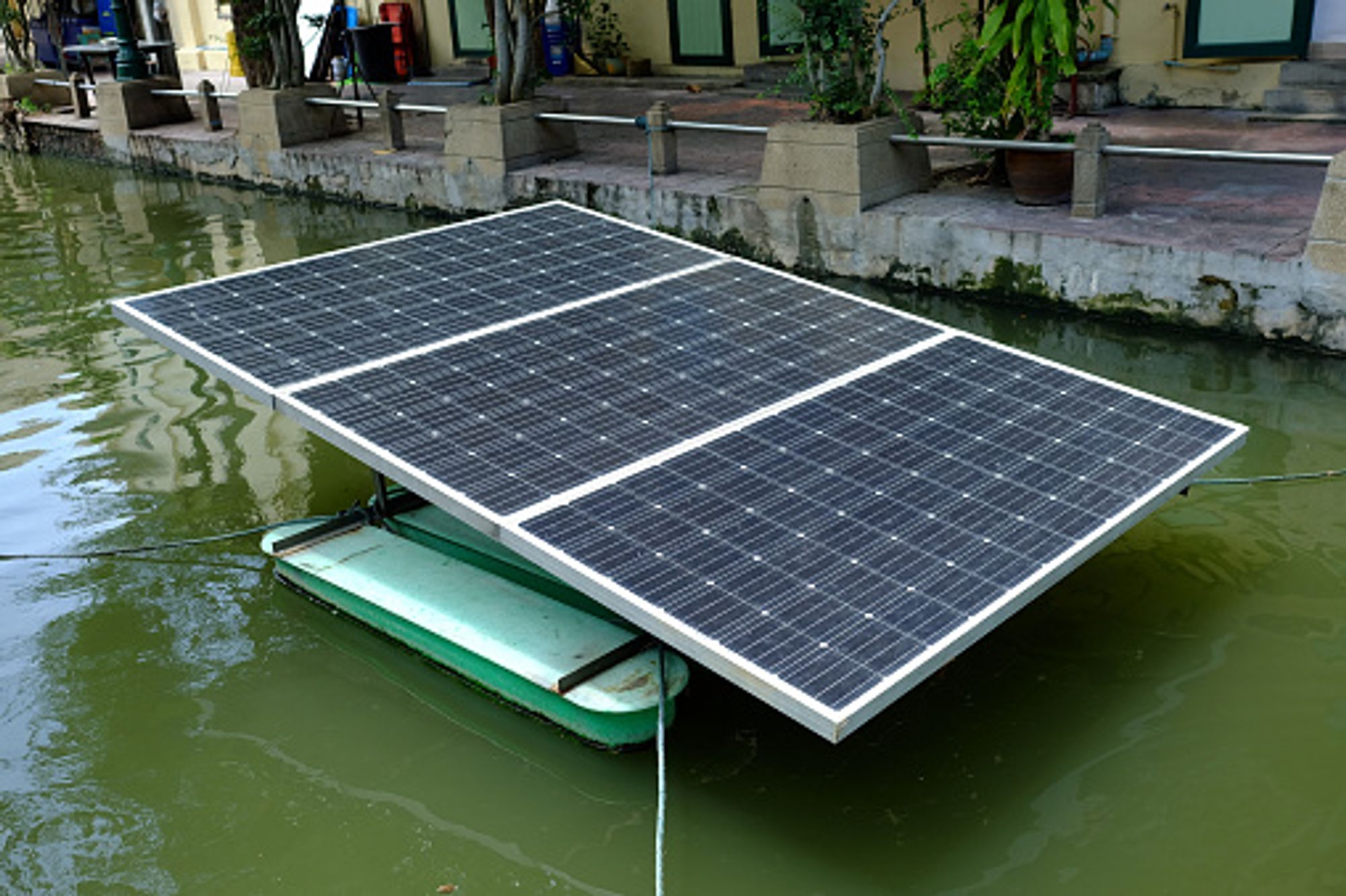 Solar Pond Pump The Ultimate Buying Guide